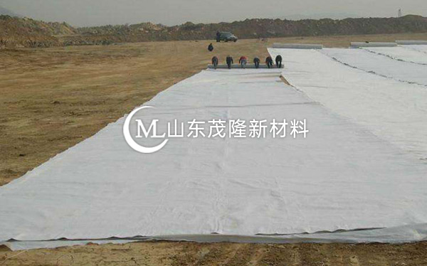 《天府机场TJ6标》土工格栅、土工布、排水板施工