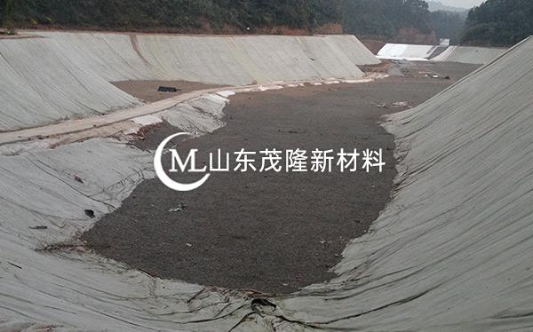 《东方环?？萍加邢薰尽吠凉げ?、土工膜施工