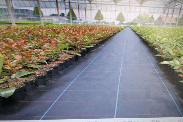 土工布与防草布：一探区别  第3张
