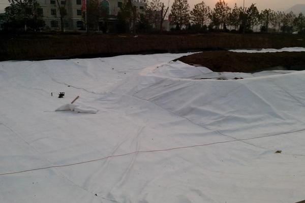 土工布的适度湿度调节为何如此重要？  第2张