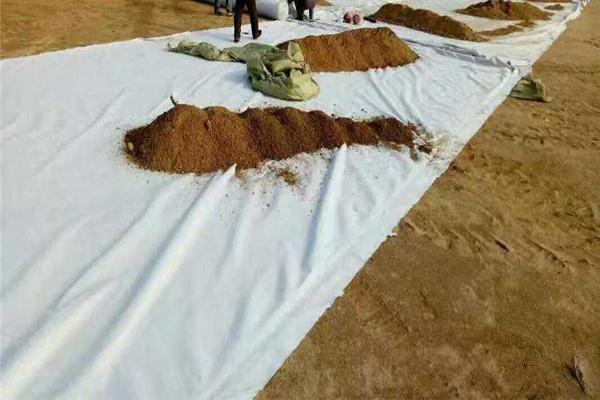 护坡养护土工布:特点解析 第2张