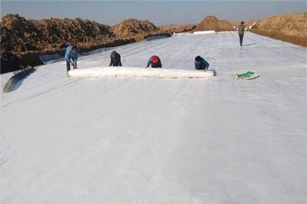 短丝针刺土工布：应用领域和使用场景解析  第1张