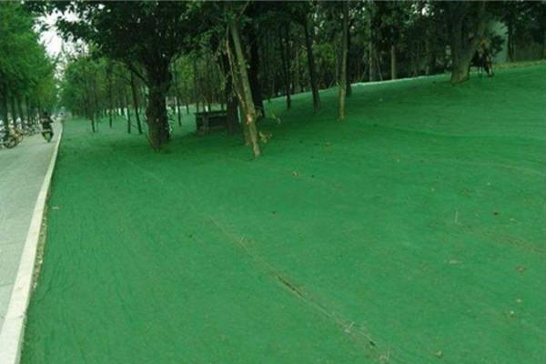 土工布能不能阻挡植物根系呢？  第3张