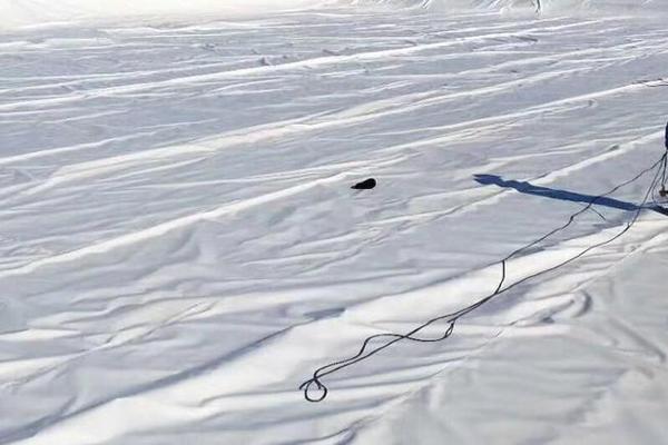 土工布可以用哪些胶粘贴呢？  第1张