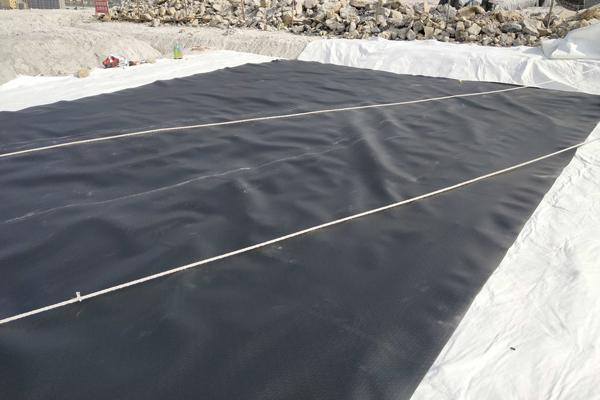 高强加筋土工布可以和土工膜搭配使用吗 第2张