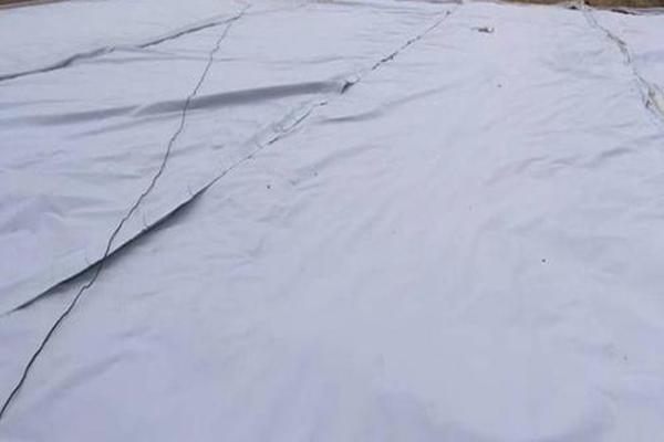 防渗土工布正反面怎么区分 第1张